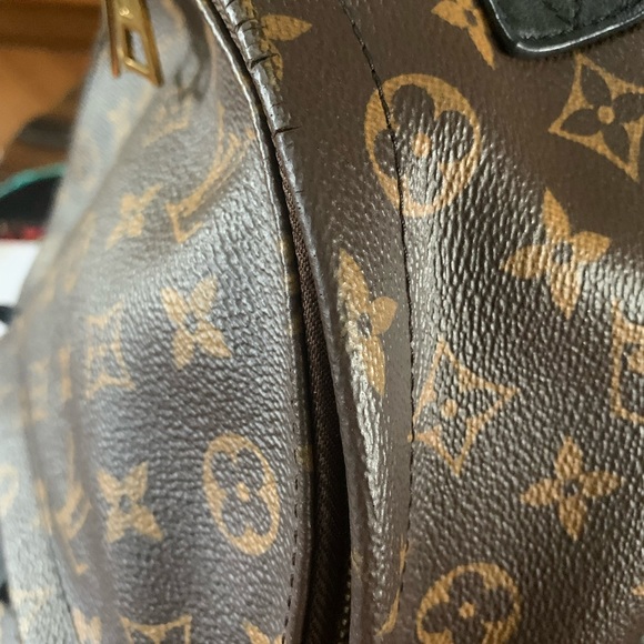LV palm spring back pack pm - Picture 6 of 9